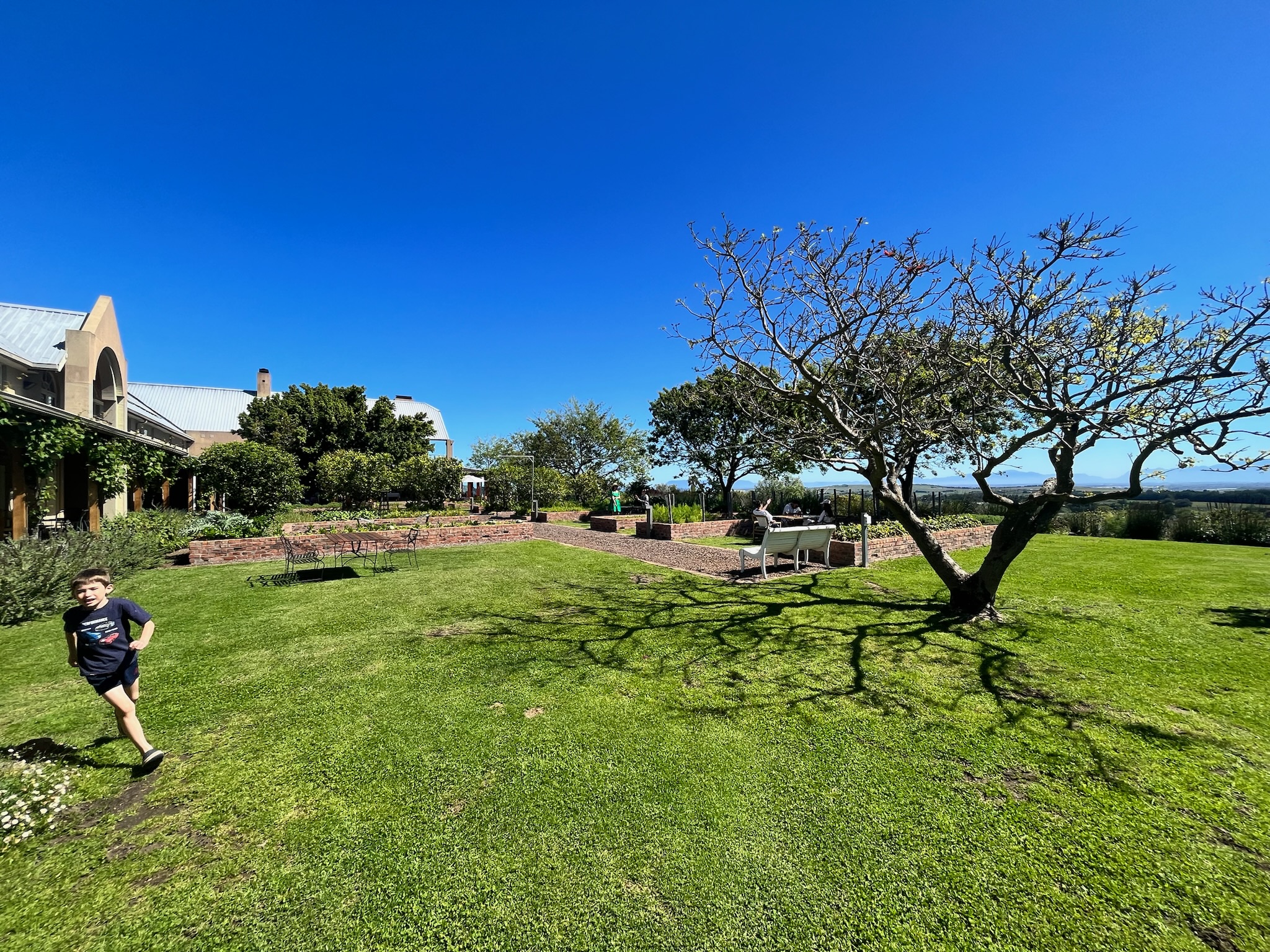 Longridge Wine Estate / Somerset West Cape Town with Kids