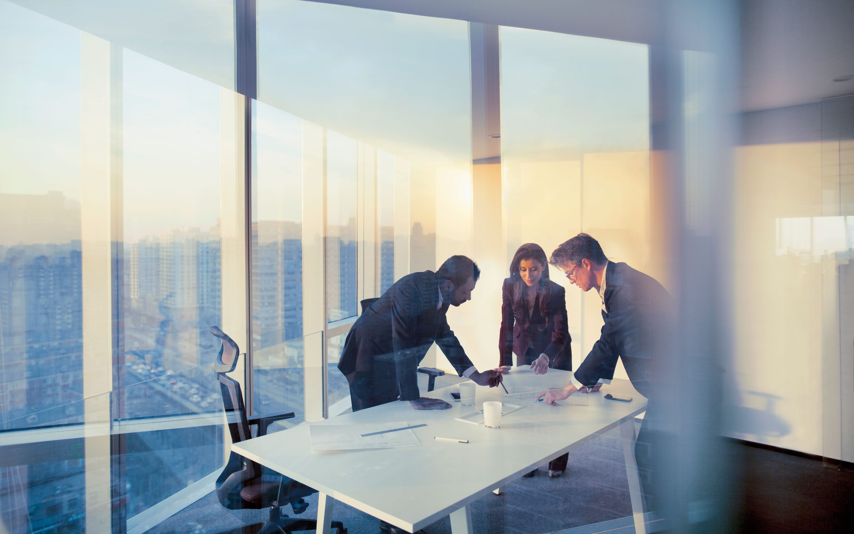 Board Committees Board Of Directors Capgemini