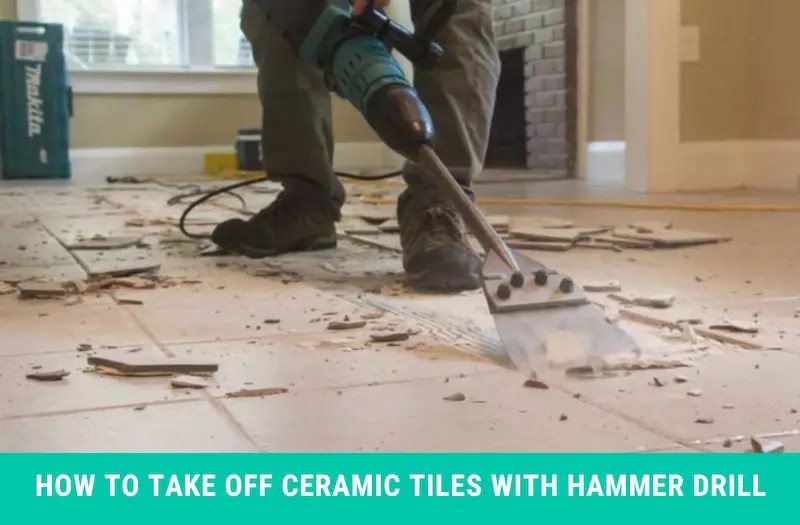7 Best Hammer Drill for Tile Removal Capische