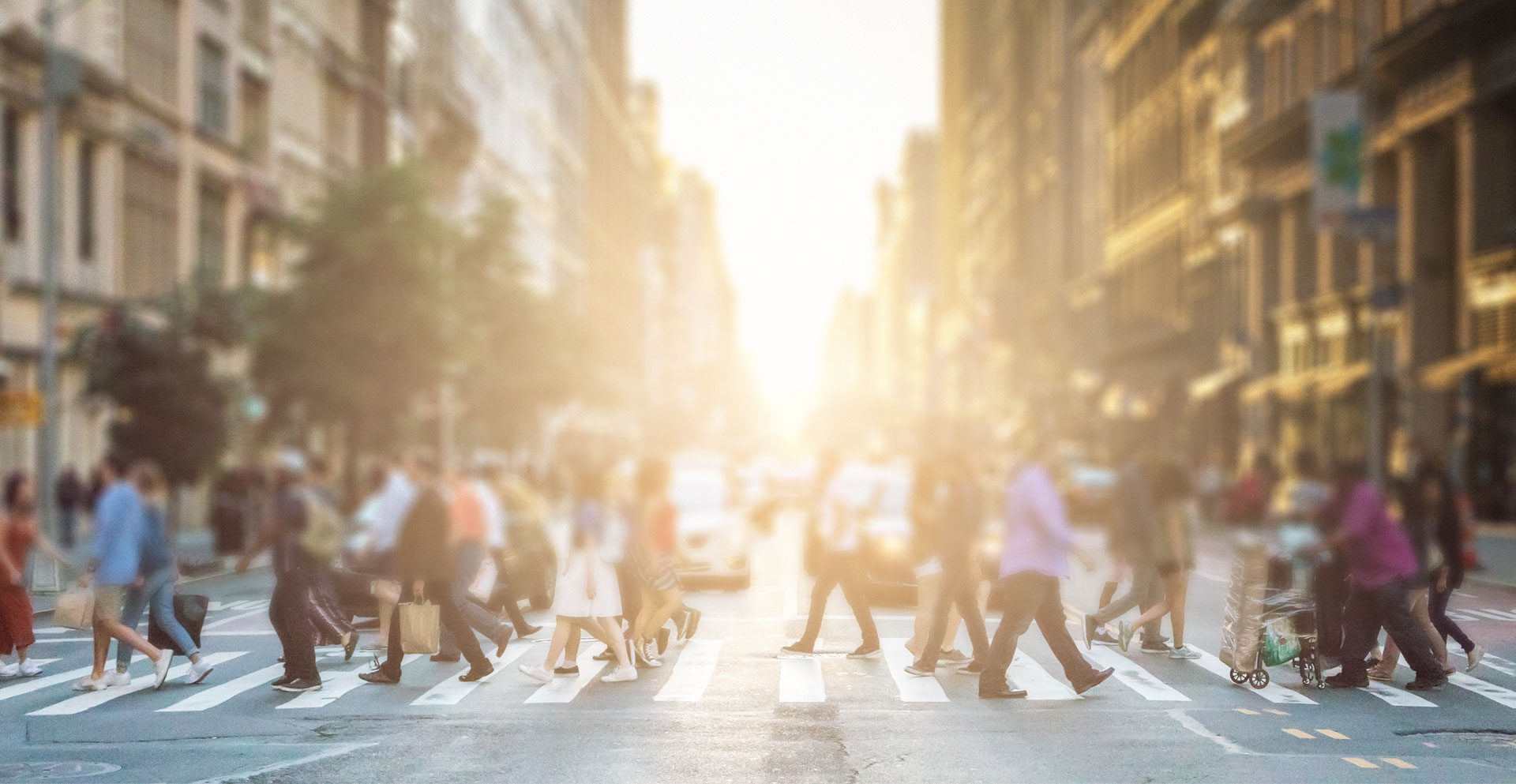 The Capital Success Group