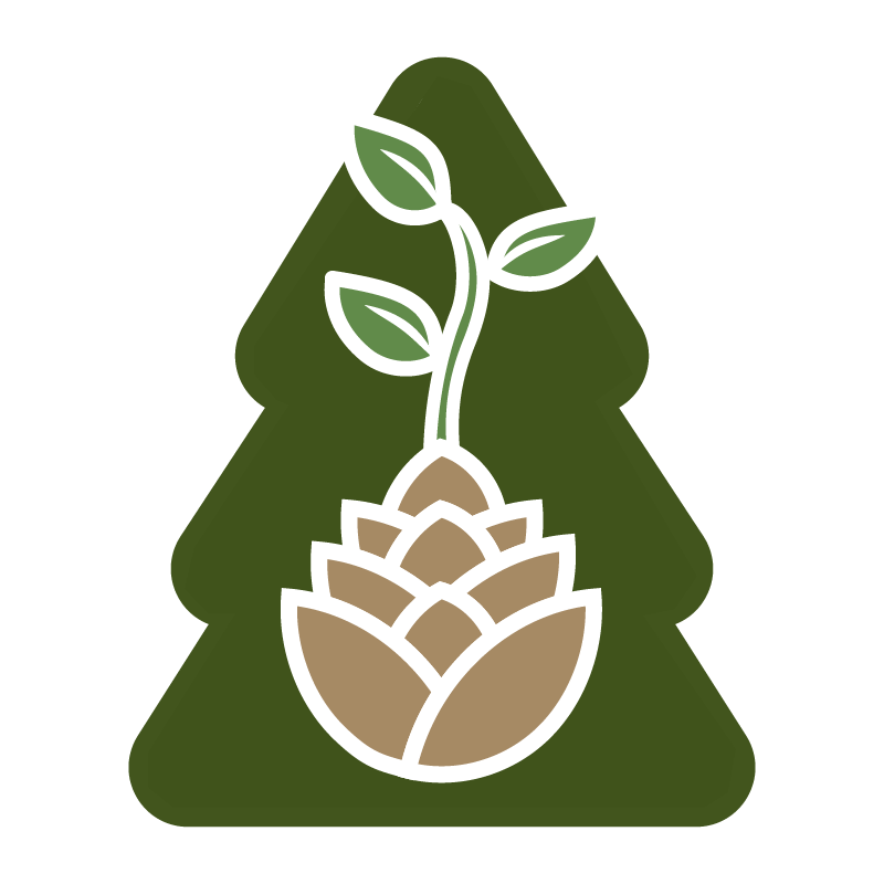 Contact Us Capitol Forest Cooperative Preschool