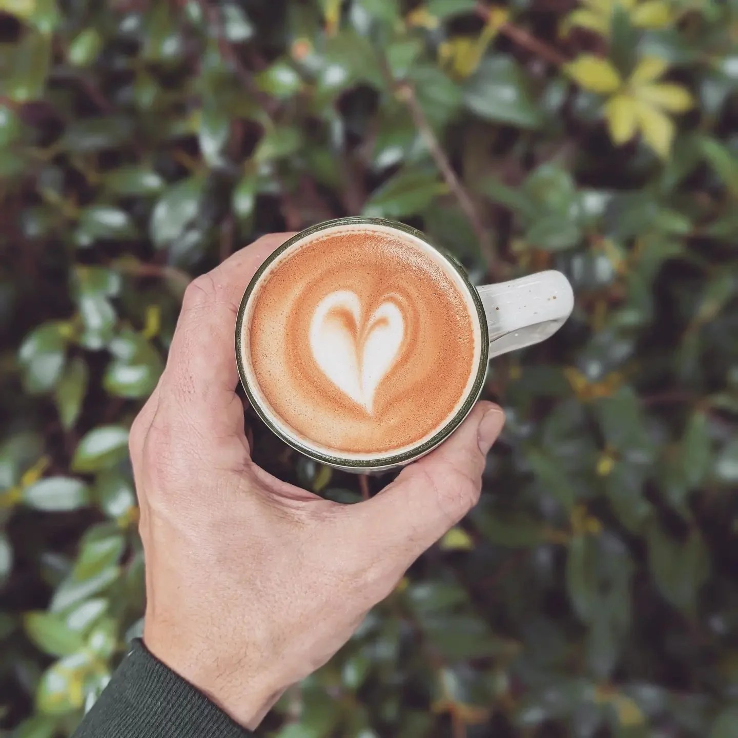 coffee CHS Capitol Hill Seattle News