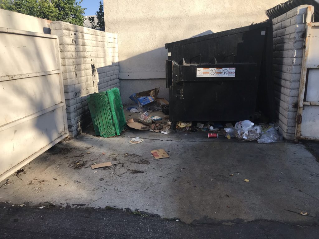 Dumpster Pad pressure washing in Los Angeles, CA Curb