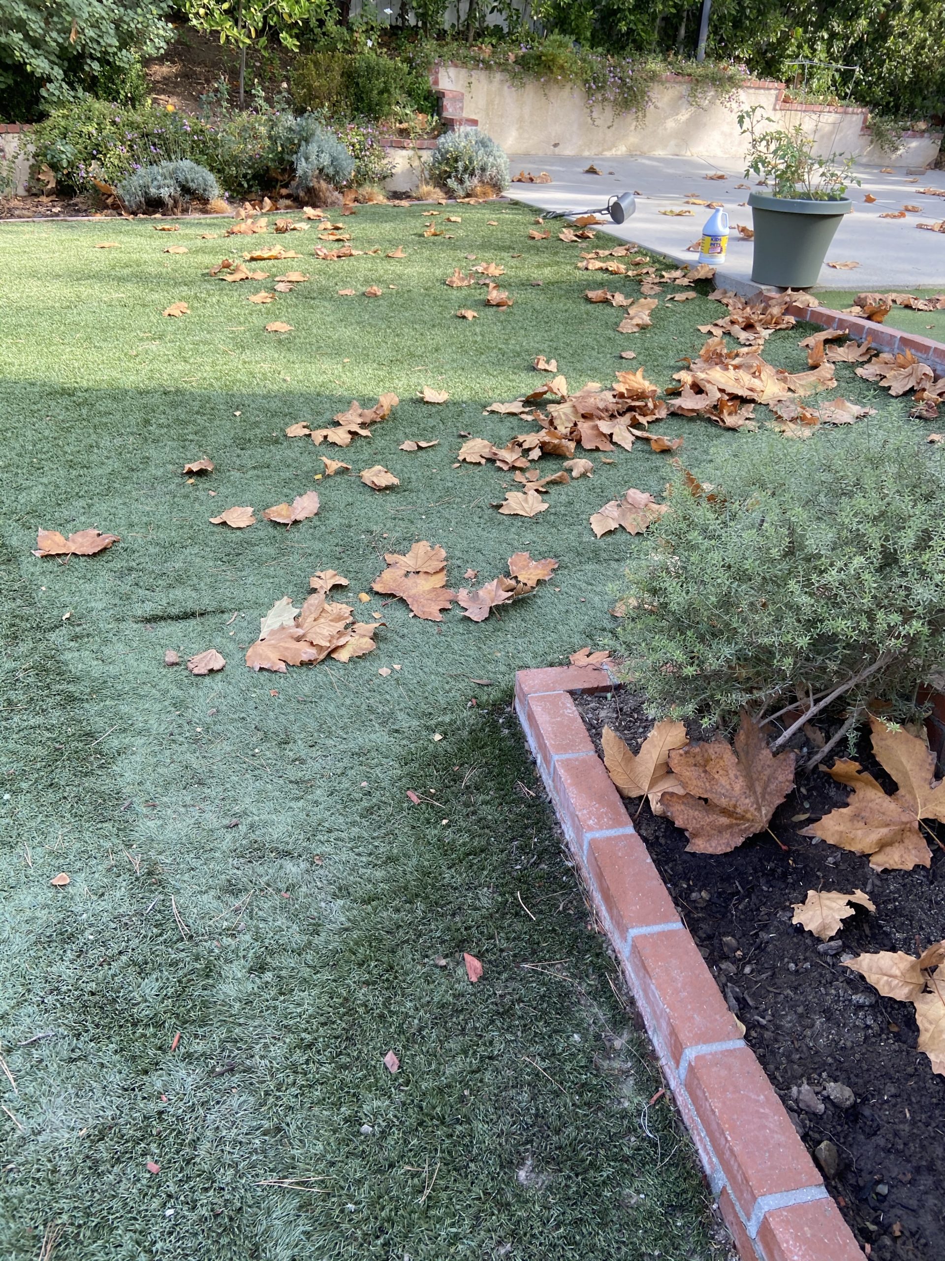 Artificial Turf Grass Cleaning in Los Angeles, CA Curb Appeal Power Clean