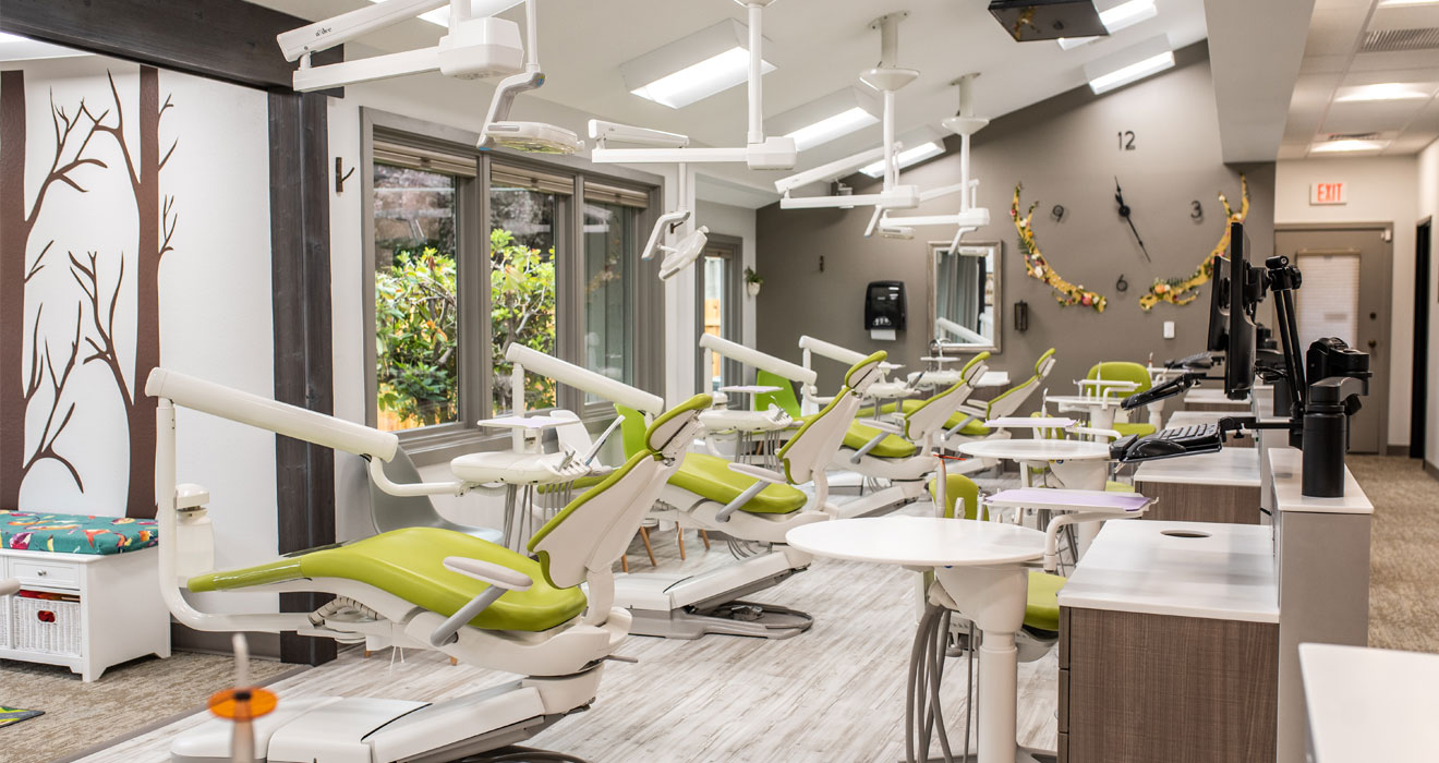 Tree House Kids Dentist Capri Architecture