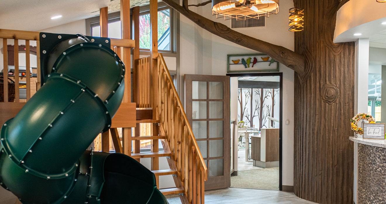 Tree House Pediatrics at Shanell Valenzuela blog