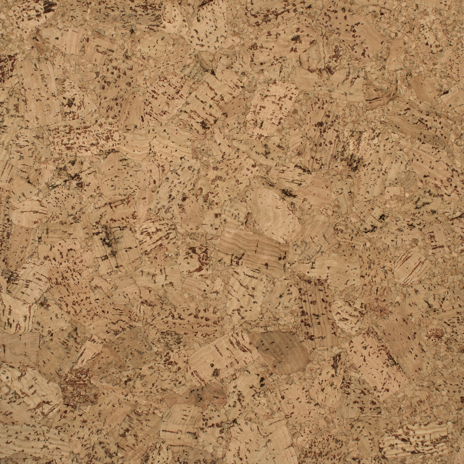 ECC Rugged ECC3505 Capri Collections