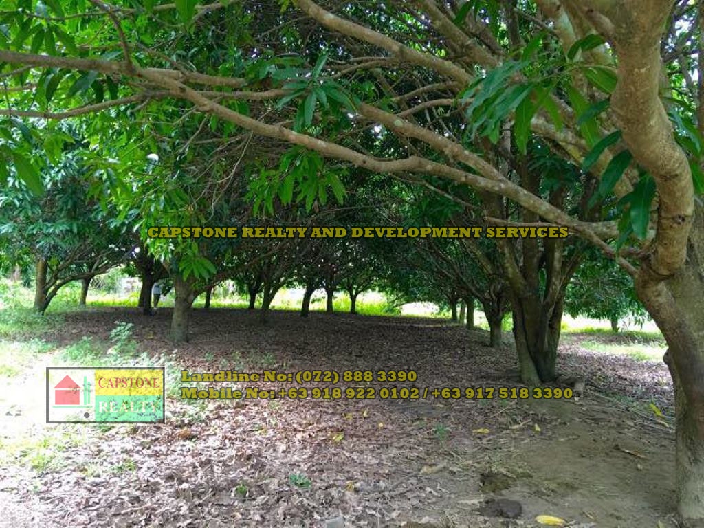 5,748 Sqm Lot for Sale in ABRA, Ilocos Capstone Realty Philippines Offers House & Lot, Beach