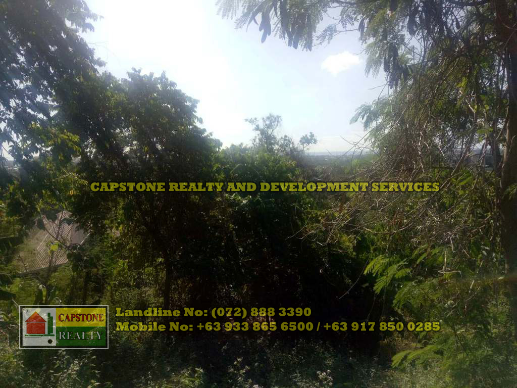 Overlooking lot for sale San Fernando City, La Union Capstone Realty