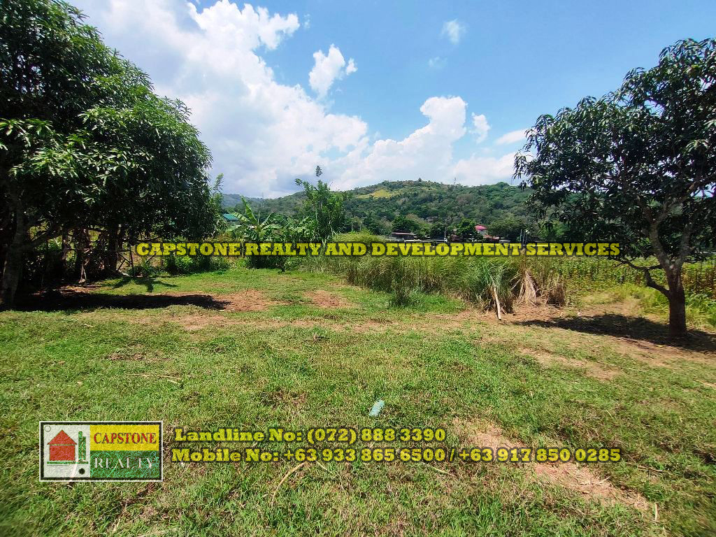 1 Hectare Titled Agricultural Lot for sale Balaoan, La Union Capstone
