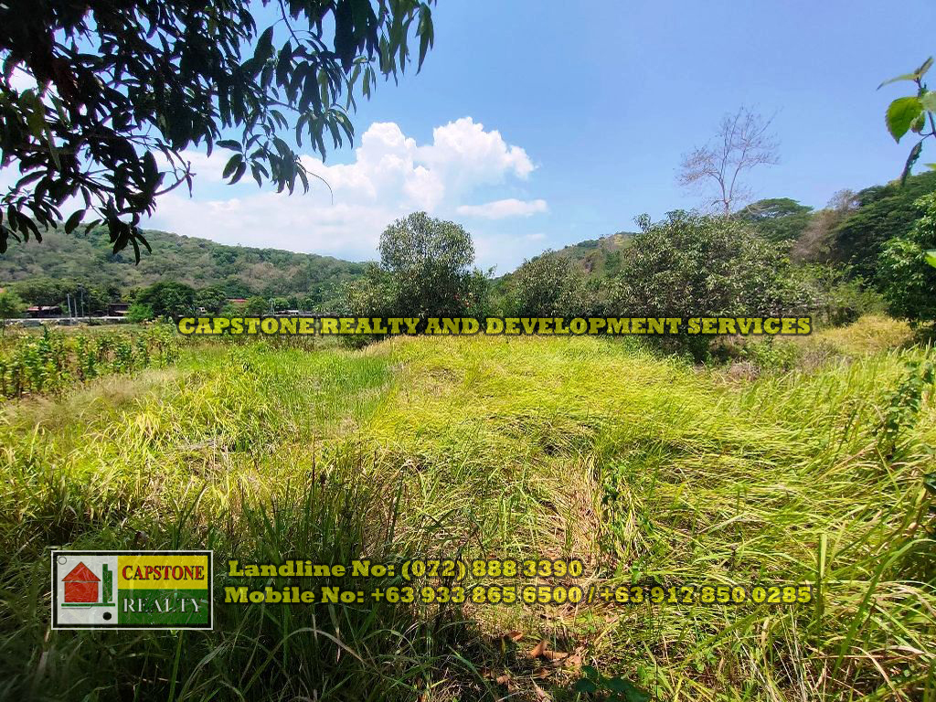 1 Hectare Titled Agricultural Lot for sale Balaoan, La Union Capstone