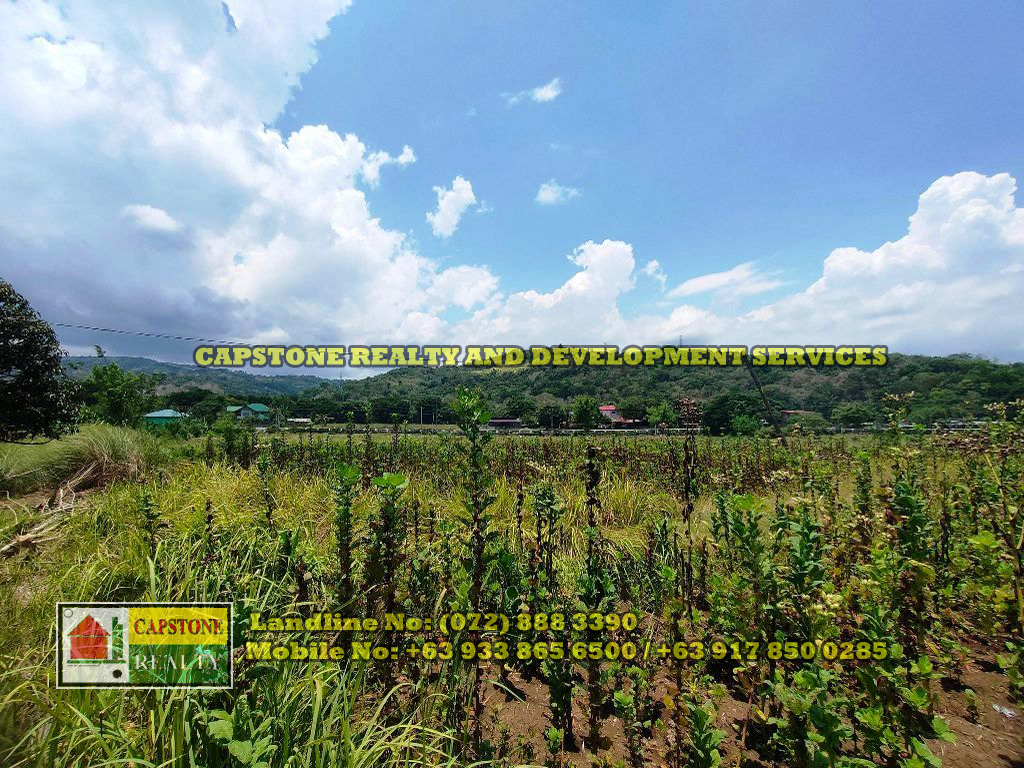 1 Hectare Titled Agricultural Lot for sale Balaoan, La Union Capstone
