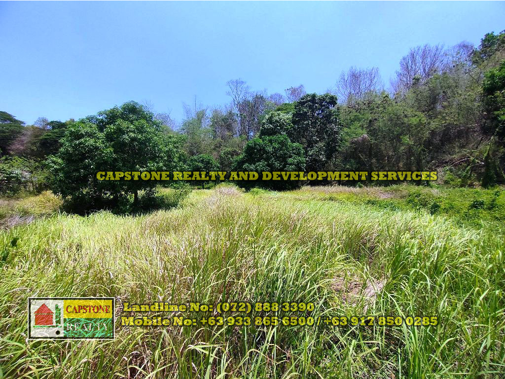 1 Hectare Titled Agricultural Lot for sale Balaoan, La Union Capstone
