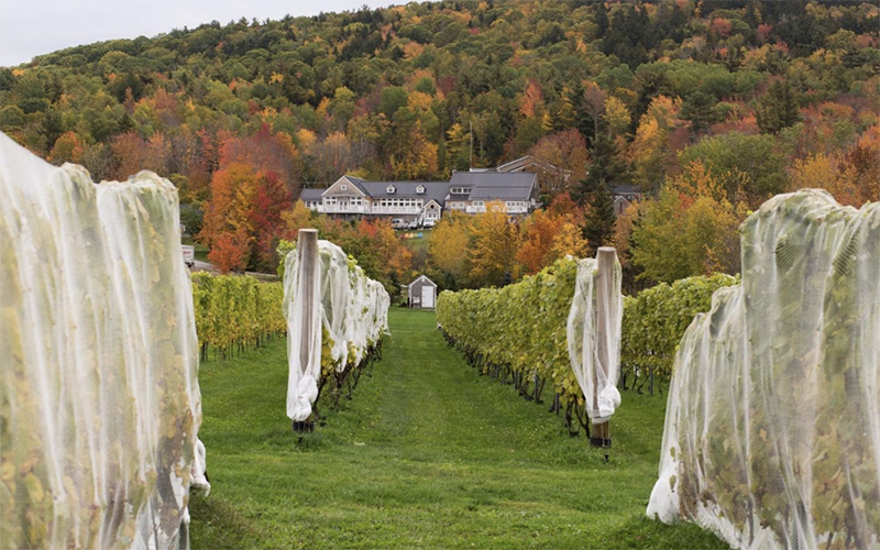 The Magic of Fall in Maine Top Autumn Activities in Searsport