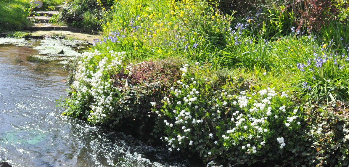 The Captain's House Dingle's Boutique Townhouse self catering