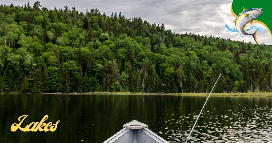 The 8 Best Fishing Lakes in Ontario Captain Dixon