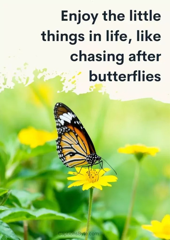 155 Butterfly Captions for Instagram(Cute, Short, Quotes, etc.) Captions Byte