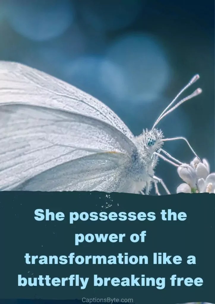 155 Butterfly Captions for Instagram(Cute, Short, Quotes, etc.) Captions Byte