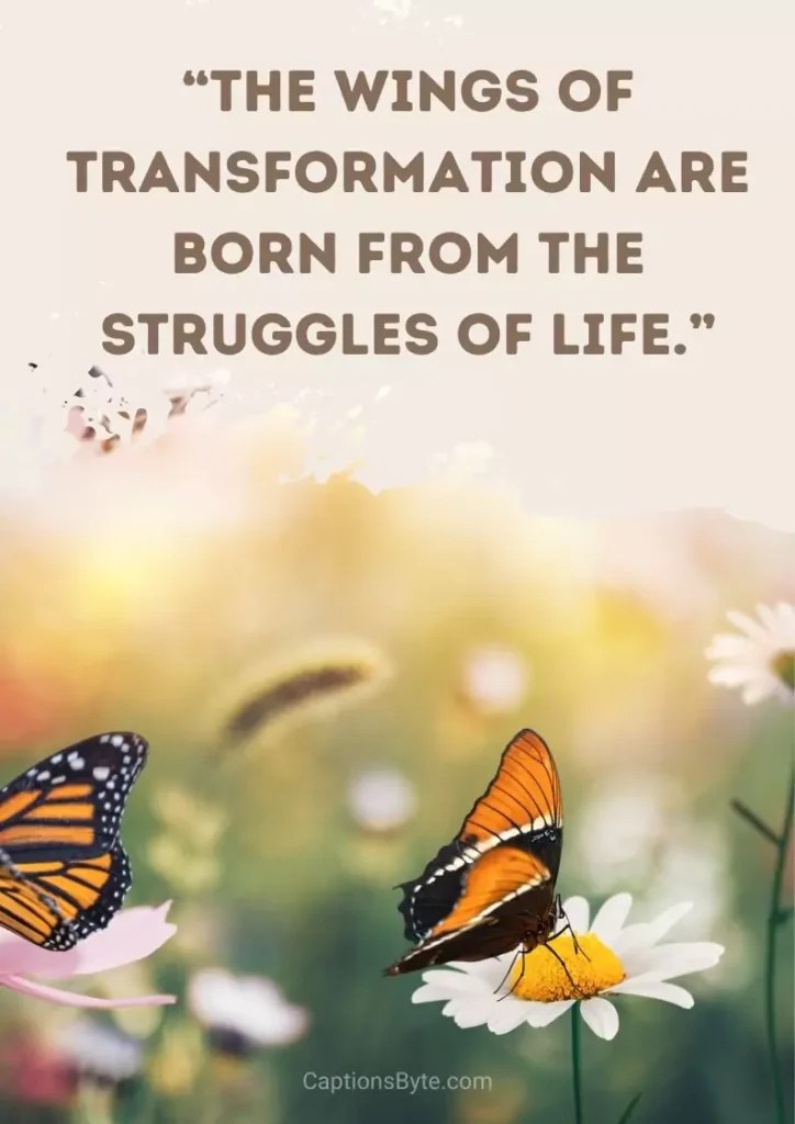 155 Butterfly Captions for Instagram(Cute, Short, Quotes, etc.) Captions Byte