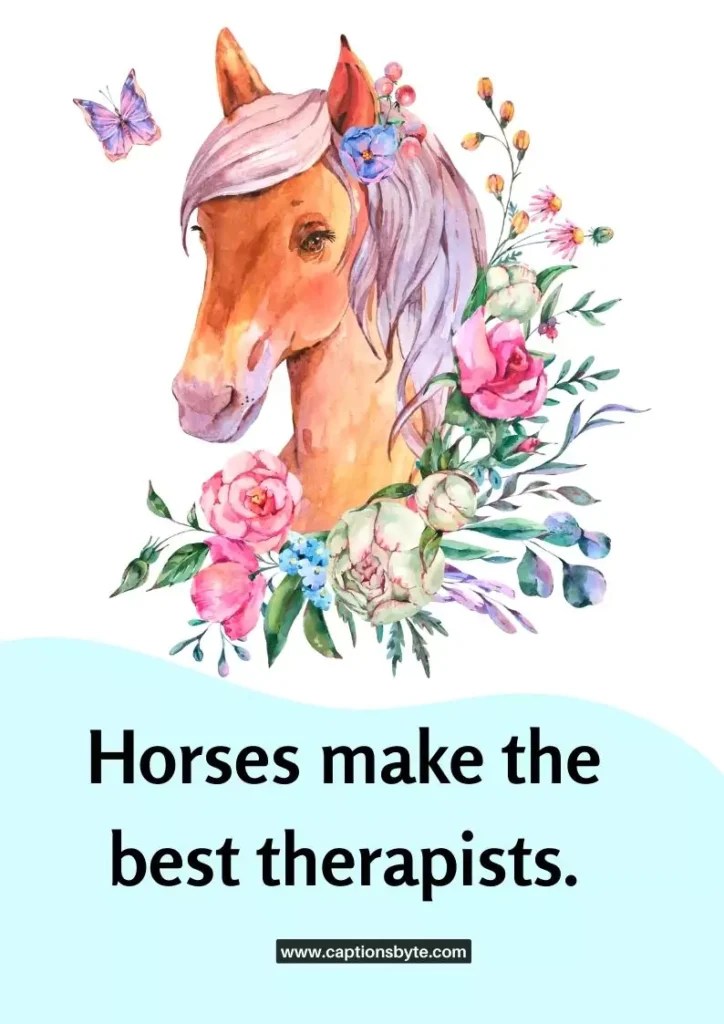 165 Best Horse Captions for Instagram 2023 Captions Byte