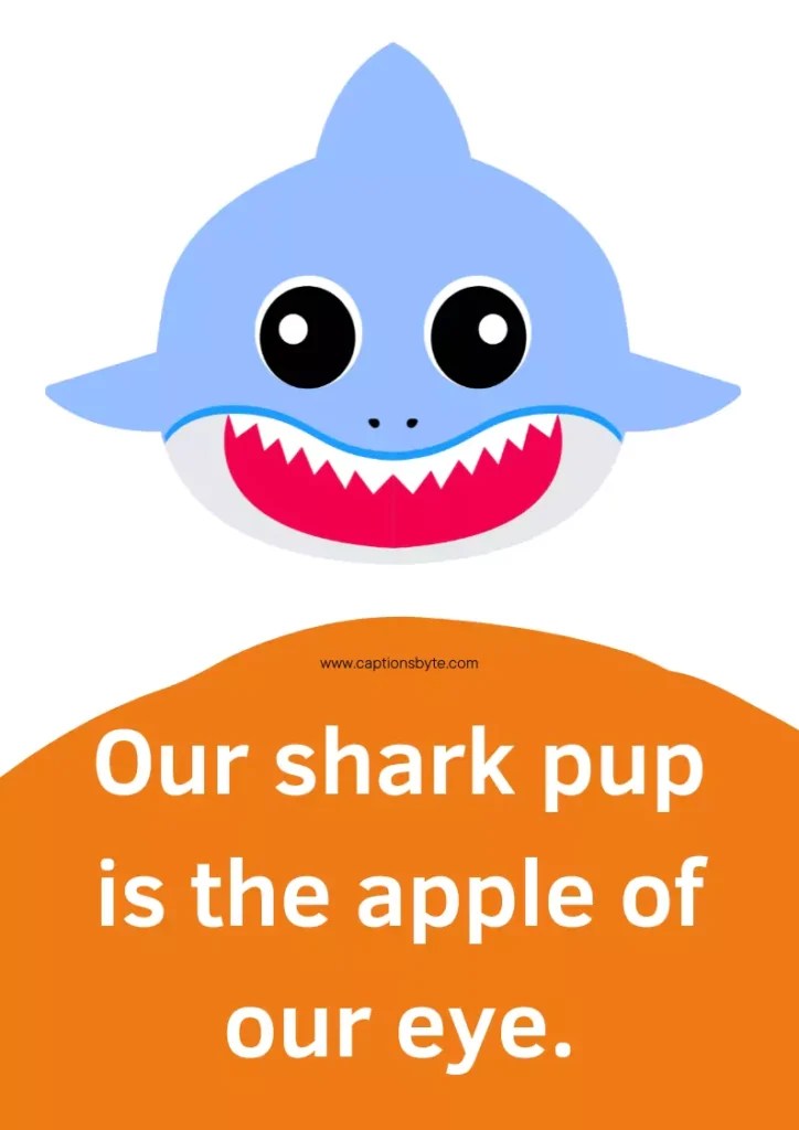 120+ Shark Captions for Instagram & Shark Puns Captions Byte
