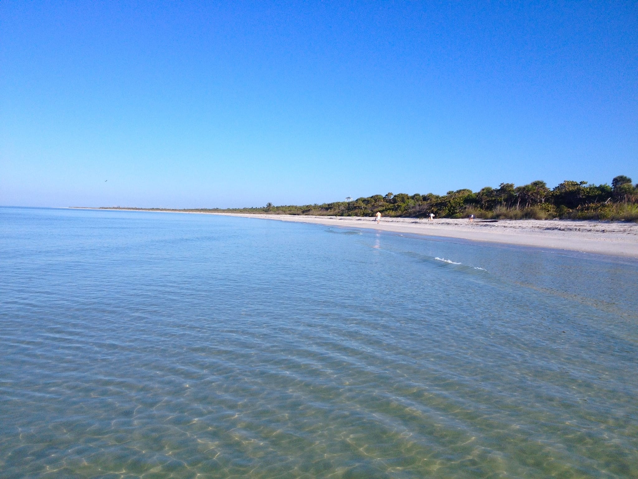 Tuesday, 2/11/14, Captiva Fishing Report Beautiful weather! Sanibel