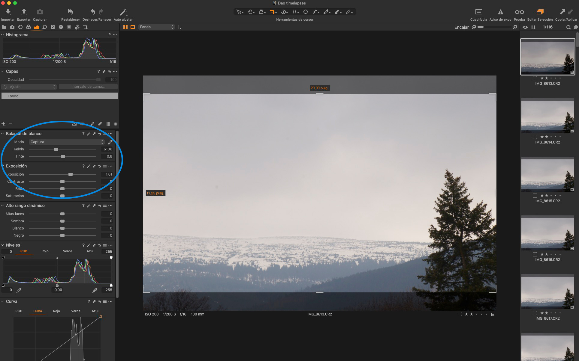 Importar catálogos de Lightroom en Capture One Capture One Trainer