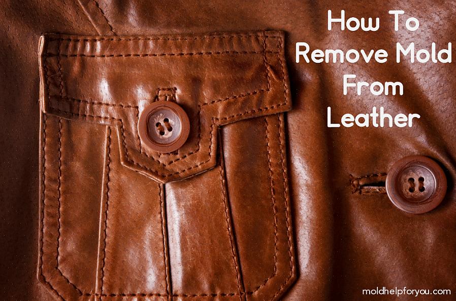 Como tirar mofo de uma jaqueta de couro aprenda a maneira mais rápida