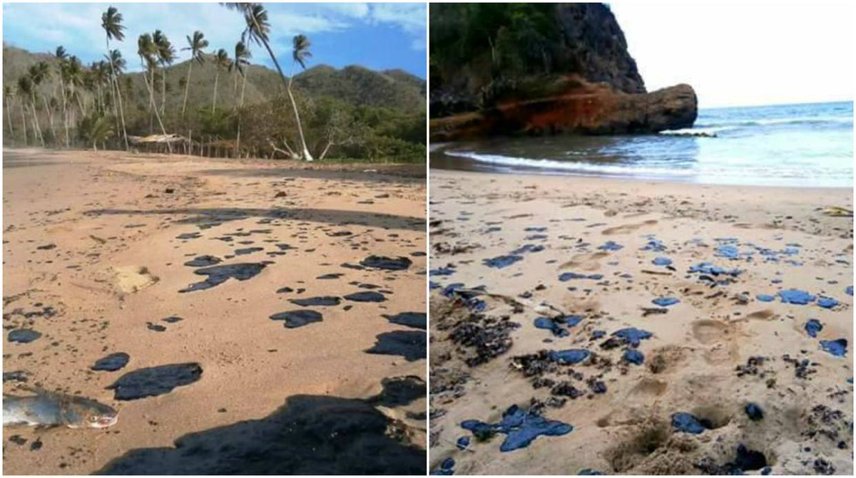 Trinidadian Oil Spill Pollutes Beaches in Venezuela Caracas Chronicles