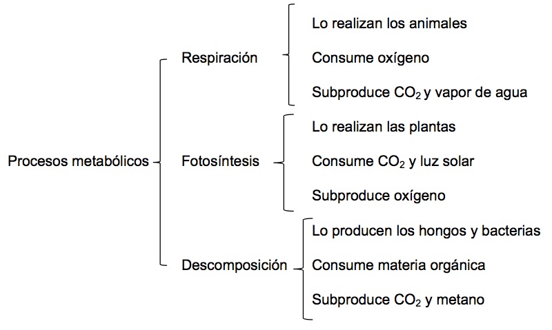 Ejemplo De Un Cuadro Sinoptico Corto Ejemplo Sencillo