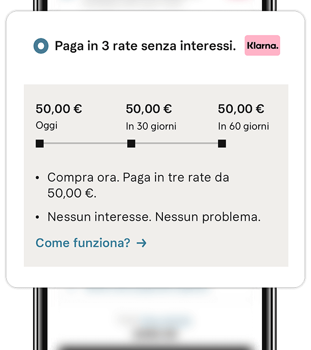 Klarna cos'è, come funziona, come pagare a rate Card