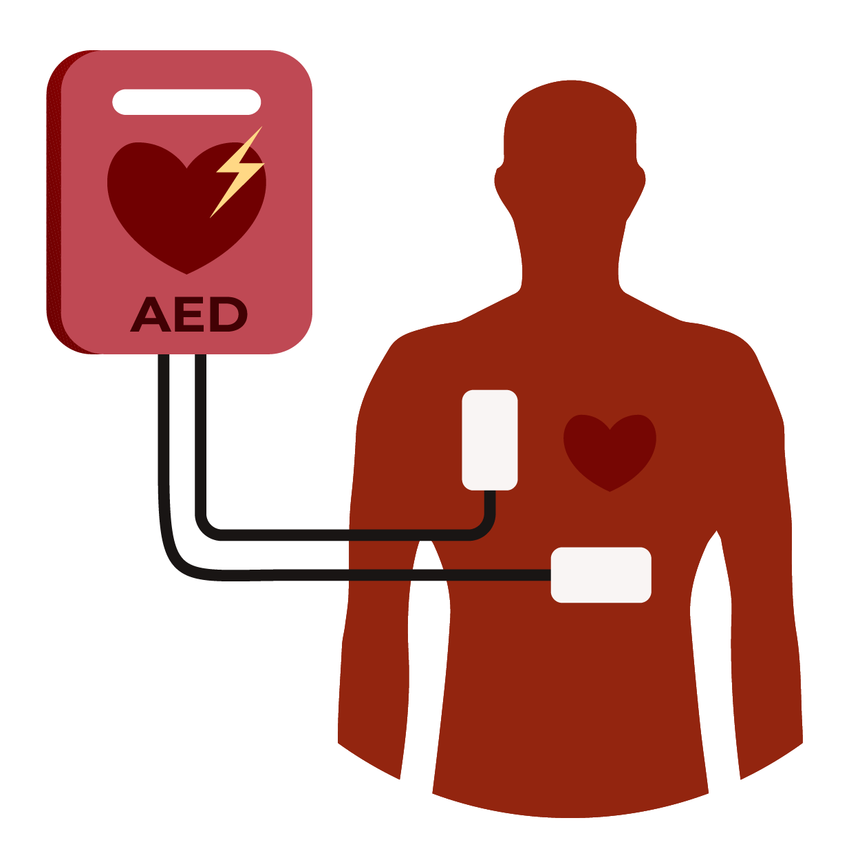 Why is Rapid Defibrillation Important? CardiacDirect