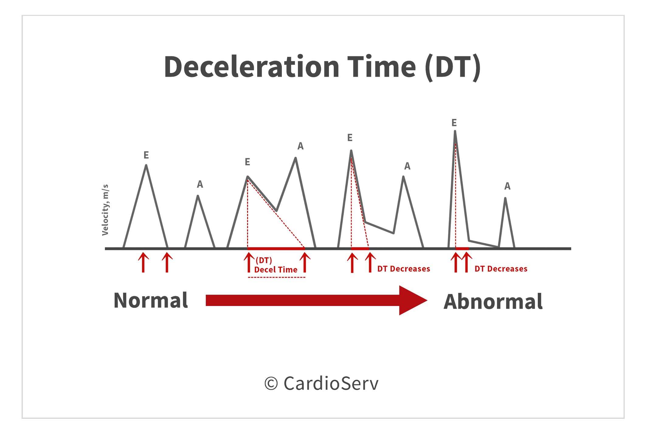 Tips for Accurate Echo Measurements by Applying Geometric Concepts