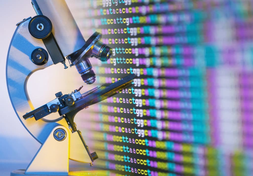 Bioinformatics College Major Career Girls
