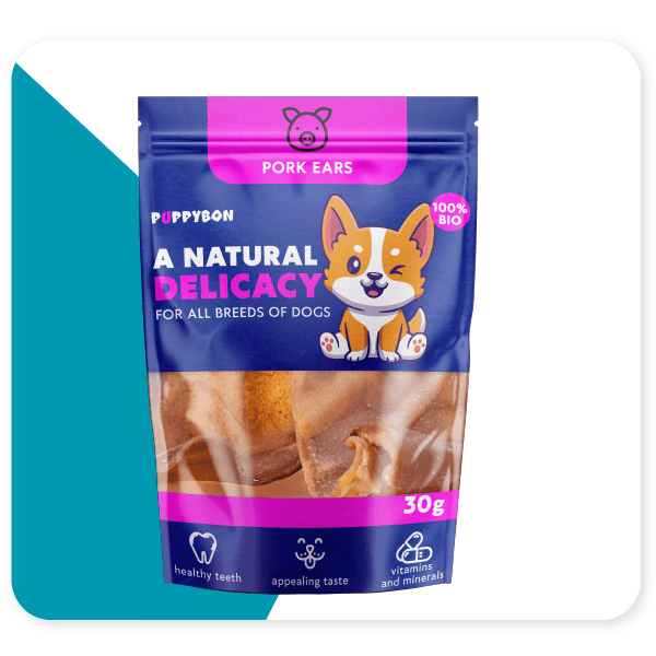 What Materials To Consider For Your Dog Treat Packaging CarePac