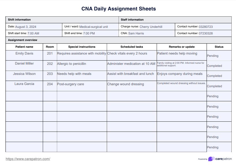 Printable CNA Daily Assignment Sheet & Example | Free PDF Download