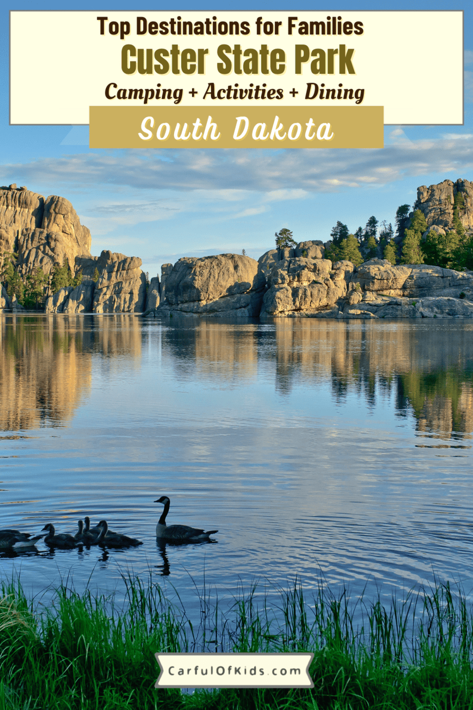 Top Things to do in Custer State Park with Kids Carful of Kids