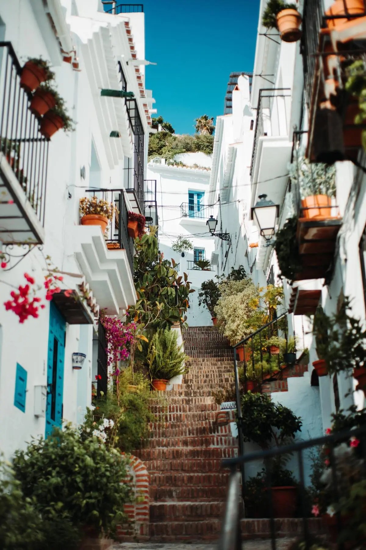 Discover the white villages of Malaga CarGest
