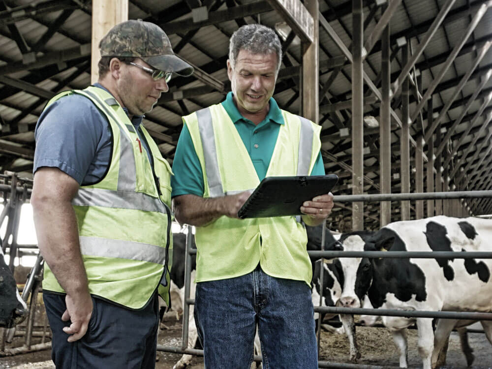 Cargill Dairy Dreams Animal Nutrition Success Stories