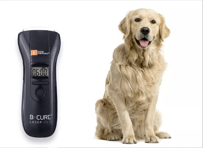 Dogs and Cold Laser Therapy A Guide for Dog Owners Caring for Pets