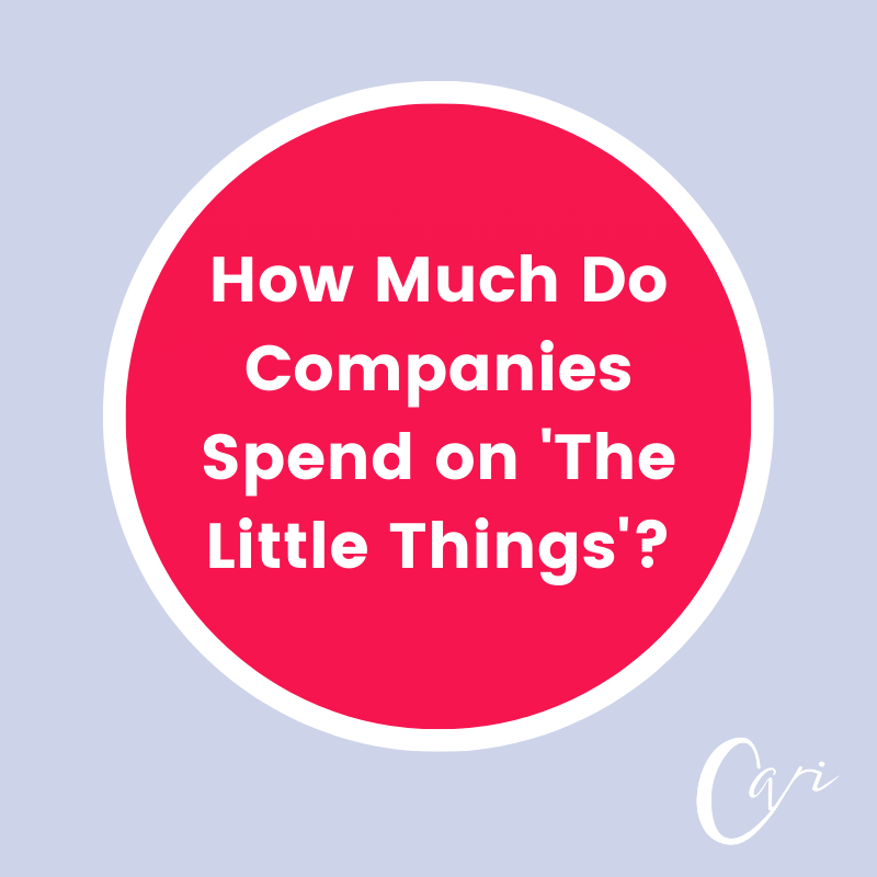 How Much Do Companies Spend on 'The Little Things'? Wellbeing with Cari
