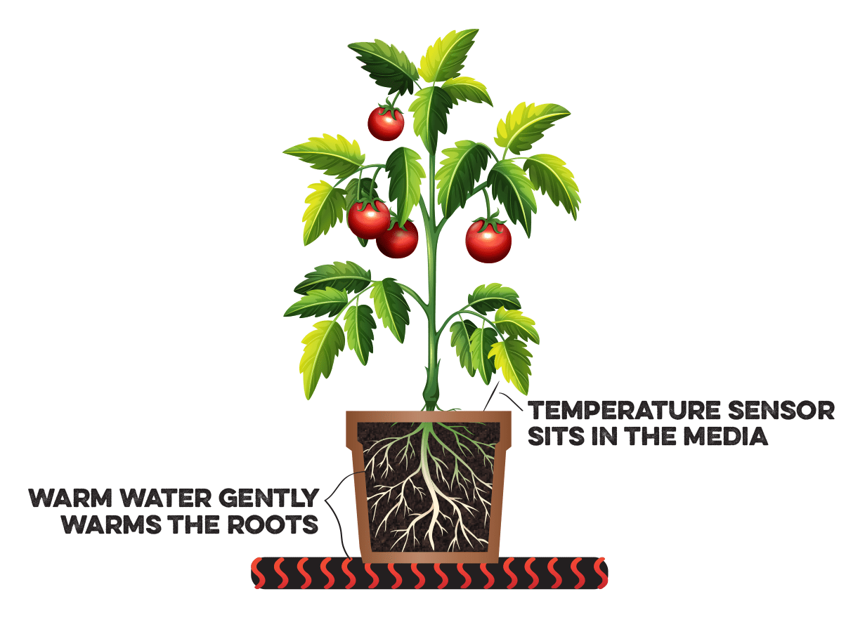 BioTherm® Upstart™ Professional Rootzone Heating Kit Propagation