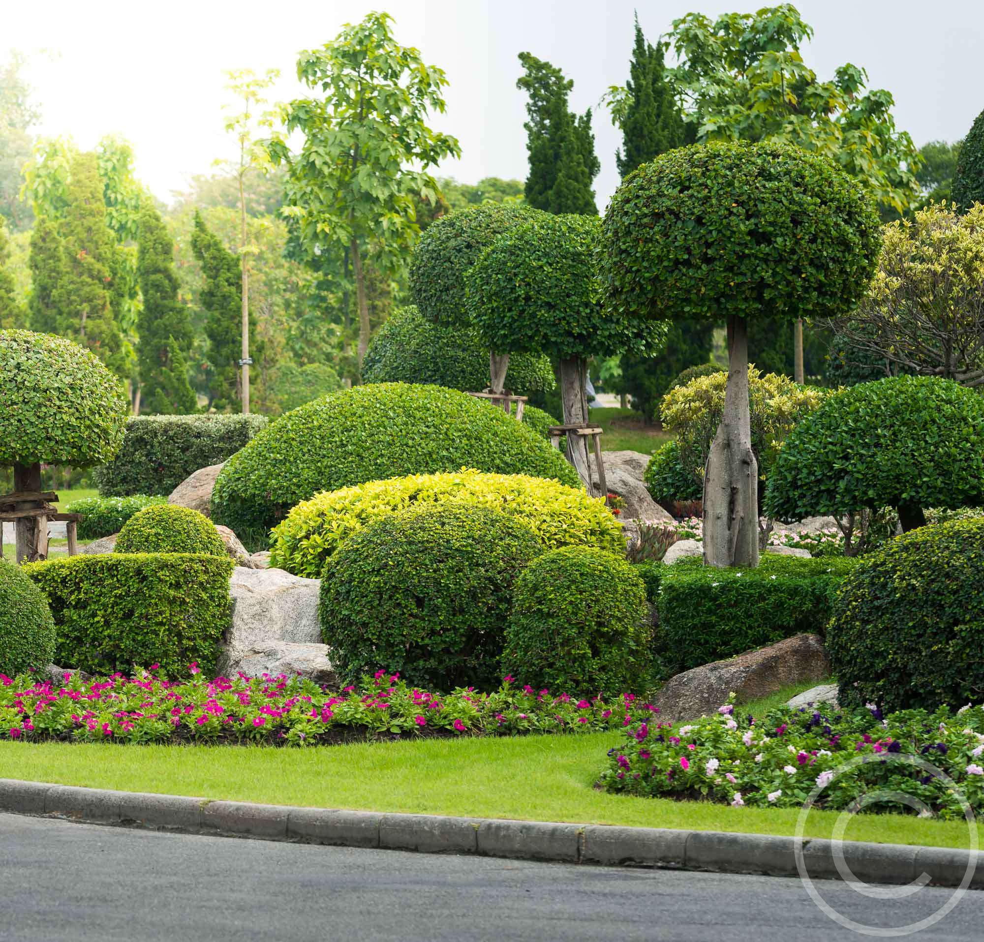 Modern Landscape Design & Techniques Carls Pro Tree Care
