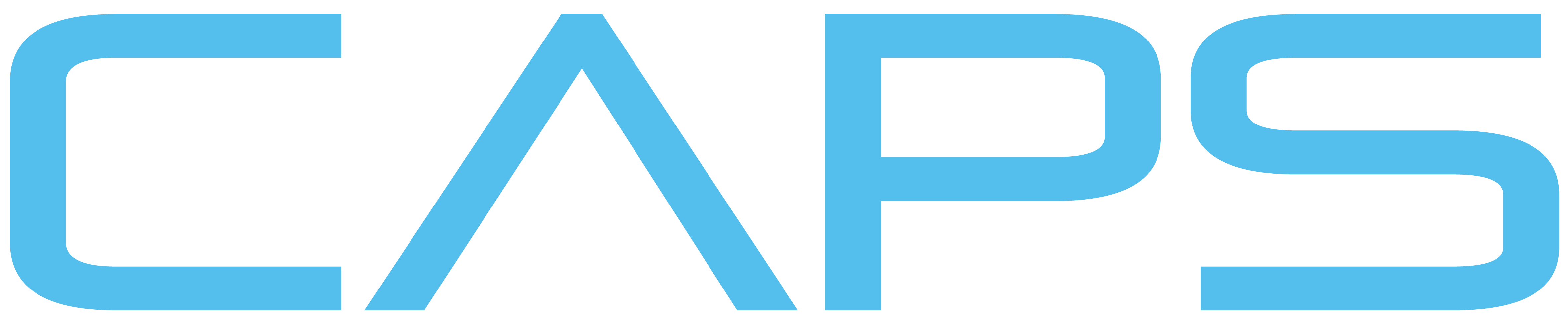 Services Offered CAPS Litigation Consultants