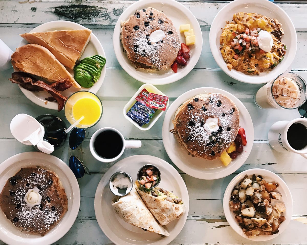 Tampa for Thanksgiving Carly the Prepster