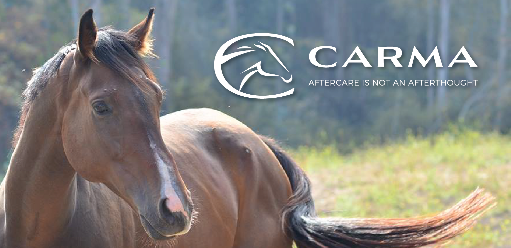 CARMA Rebrands Logo to Celebrate 15th Year Anniversary CARMA