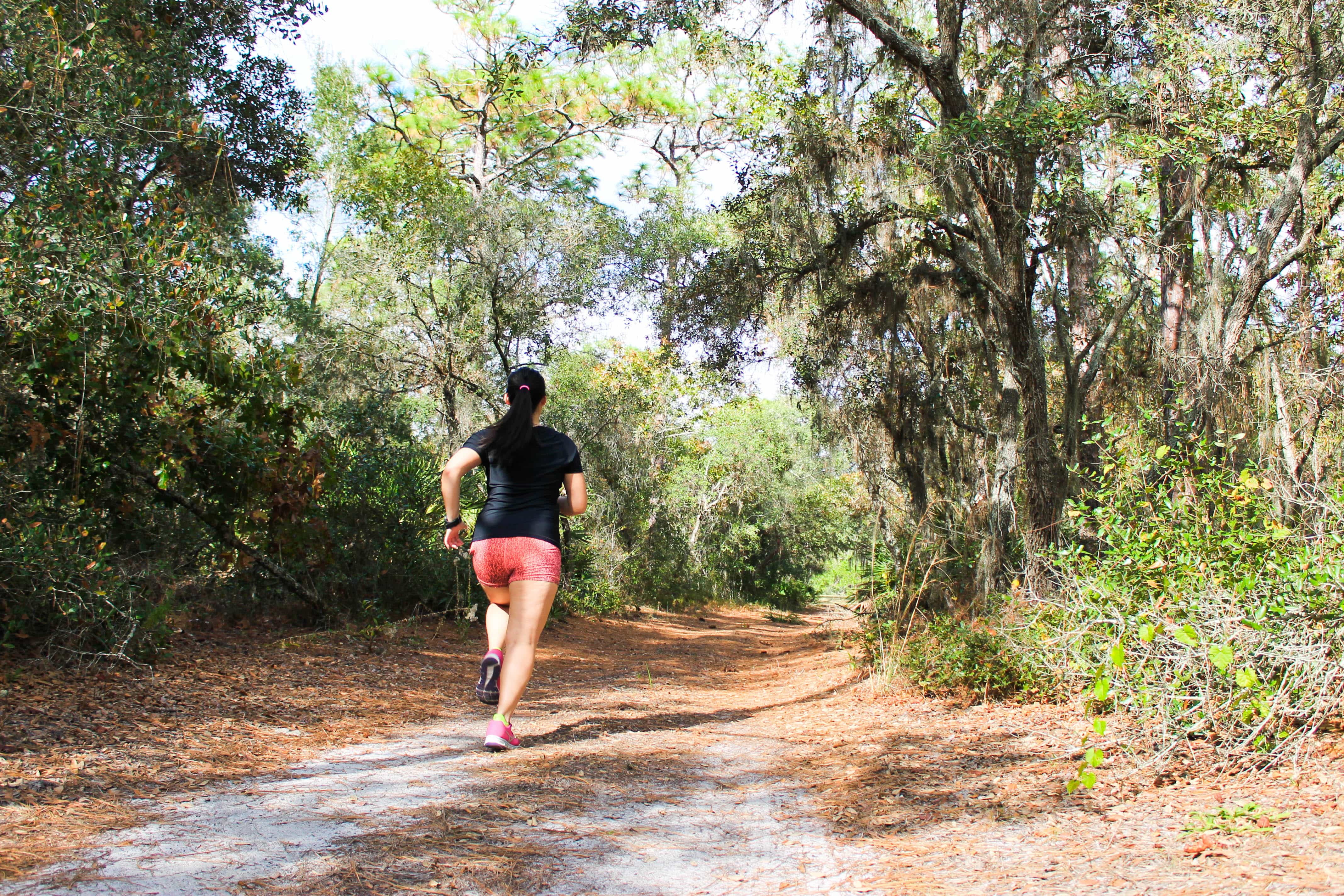 Web because most people only focus on disney and the like they end up missing out on all the amazing things to do in orlando with kids that does not involve theme parks. 5 NonTheme Park Things to do in Orlando Carmy Easy Healthyish Recipes