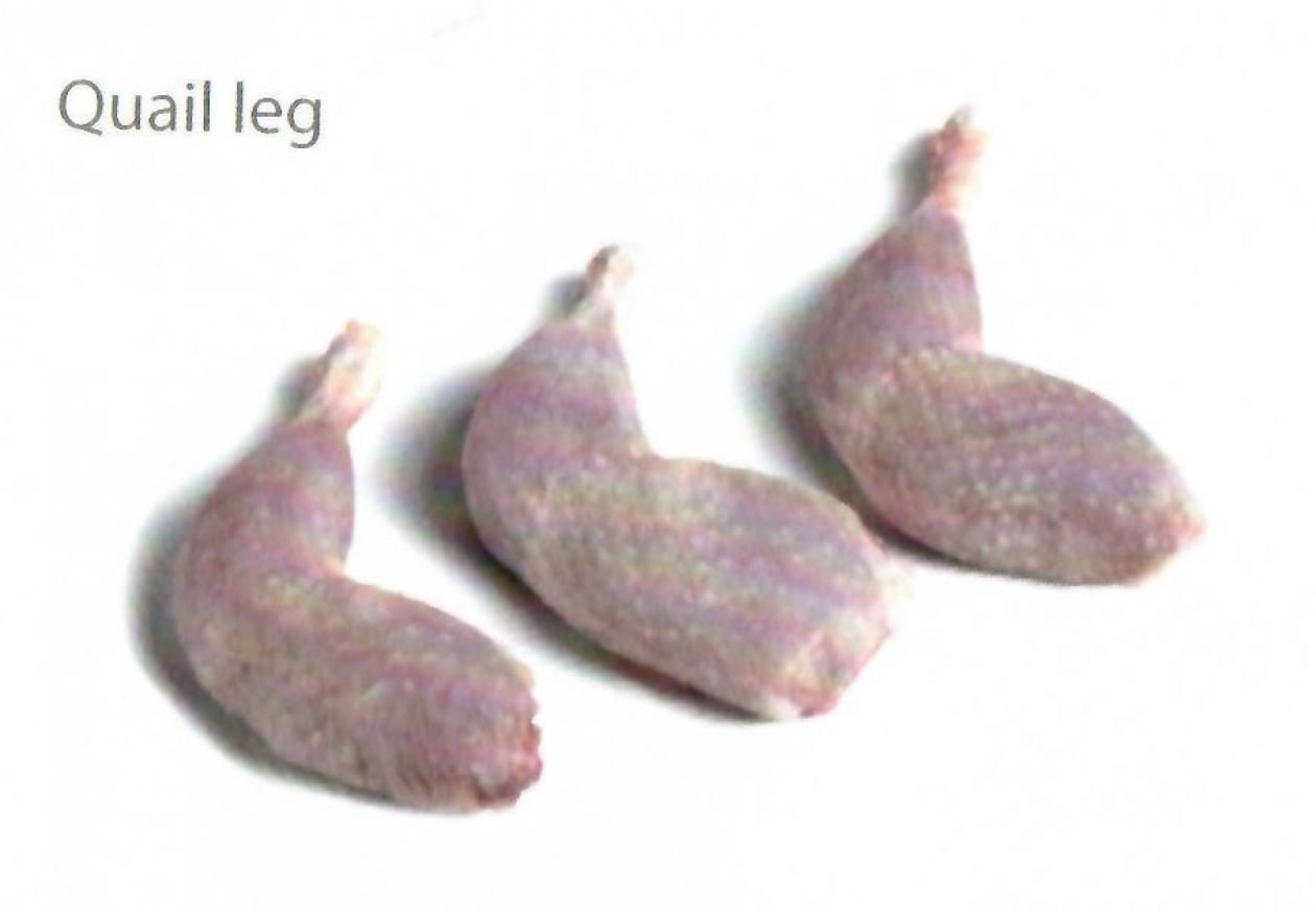 QUAIL LEGS QUAIL POULTRY WHOLESALE WHOLESALE