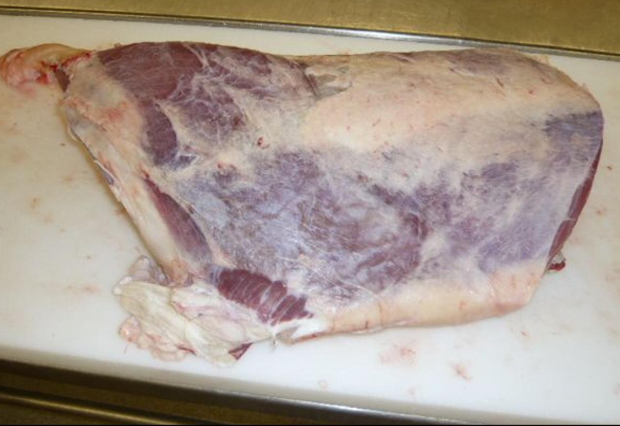 SILVERSIDE HIND QUARTER CUTS BONELESS BEEF WHOLESALE WHOLESALE