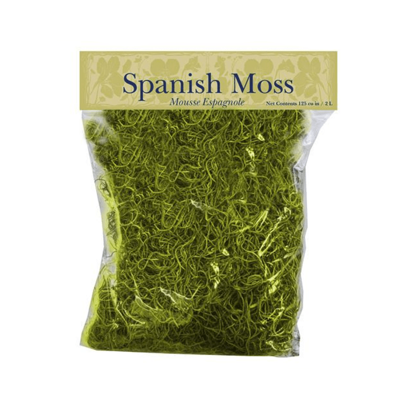 Spanish Moss Green Dyed 16oz (C) Everyday Crafts Carolina Pottery